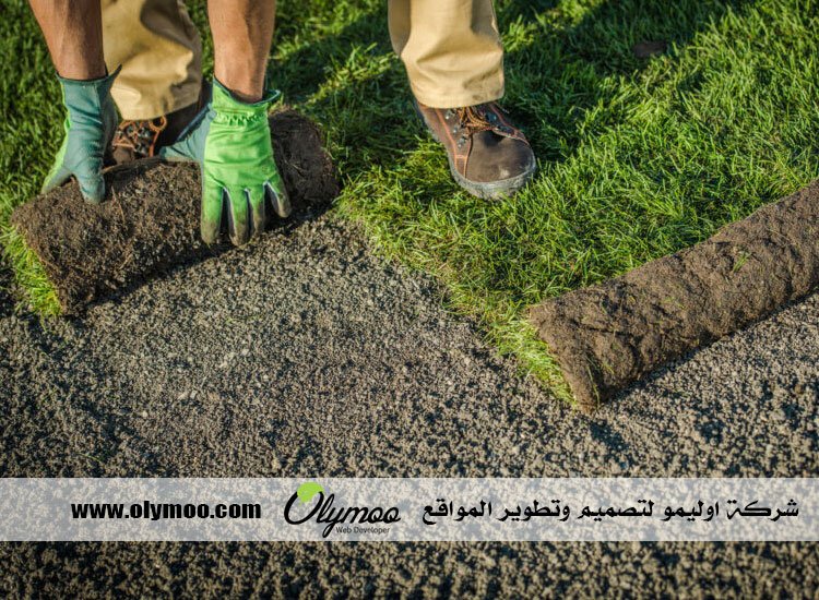 تنسيق حدائق بالرياض