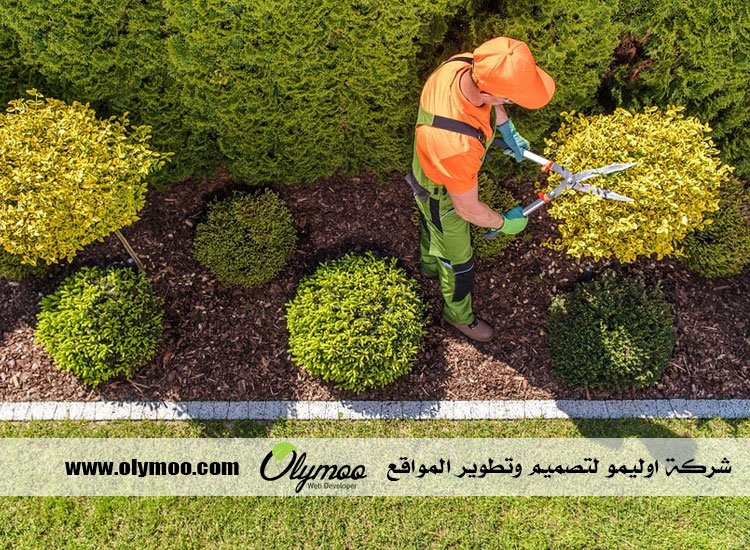 شركة تنسيق حدائق بالرياض