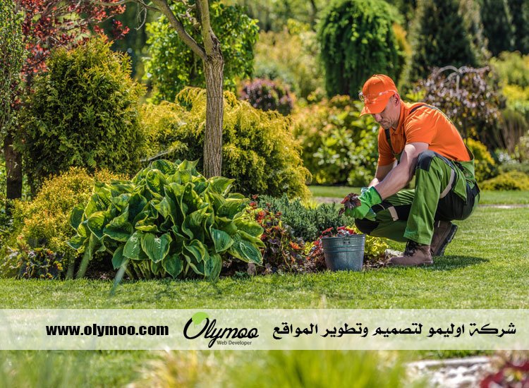 شركة تنسيق حدائق بالرياض