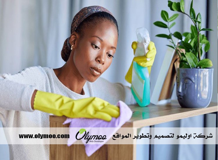 شركة تنظيف في دبي