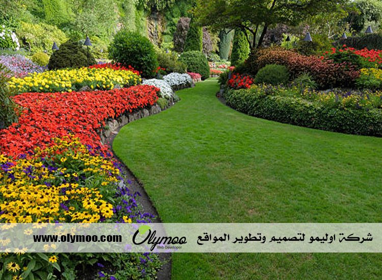 تنسيق حدائق