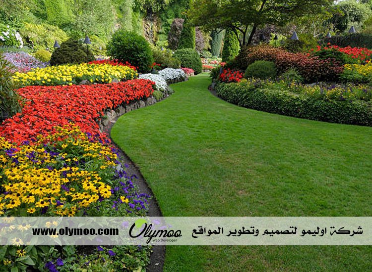 شركة تنسيق حدائق بالرياض