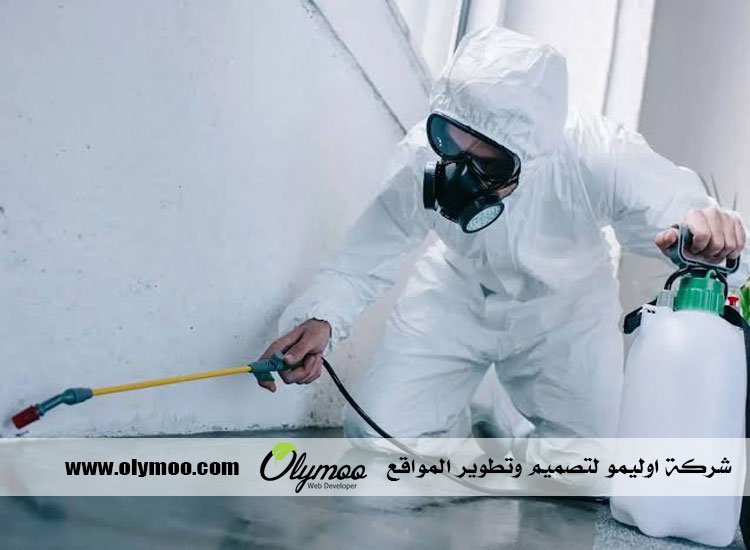 شركة مكافحة حشرات بجدة